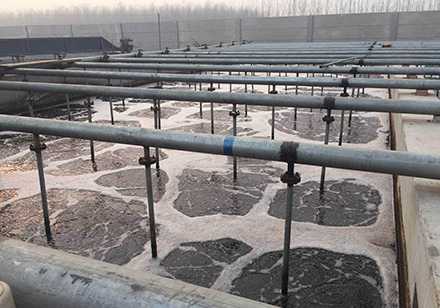 嘉興印染廠懸掛管式曝氣系統